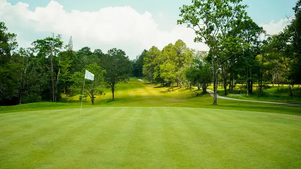 Golf sahasında yeşil çimenler ve ağaçlar. Golf sahasının manzarası ve güzel bir golf sahası. Zengin yeşil çimenlikli golf sahası. Güzel manzara..                               