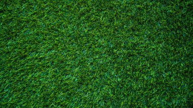Yeşil çimen arka plan, bahçe manzarası yeşil arka plan yapmak için kullanılan parlak çimen konsepti, spor alanı için çimen, golf sahası yeşil çizgili doku arka plan                               