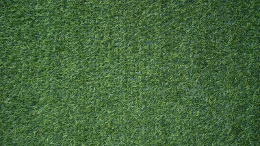 Yeşil çimen arka plan, bahçe manzarası yeşil arka plan yapmak için kullanılan parlak çimen konsepti, spor alanı için çimen, golf sahası yeşil çizgili doku arka plan                                