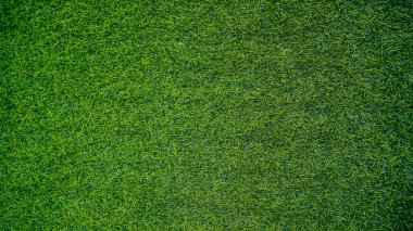 Yeşil çimen arka plan, bahçe manzarası yeşil arka plan yapmak için kullanılan parlak çimen konsepti, spor alanı için çimen, golf sahası yeşil çizgili doku arka plan                                