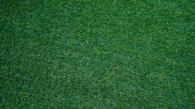 Yeşil çimen arka plan, bahçe manzarası yeşil arka plan yapmak için kullanılan parlak çimen konsepti, spor alanı için çimen, golf sahası yeşil çizgili doku arka plan                                