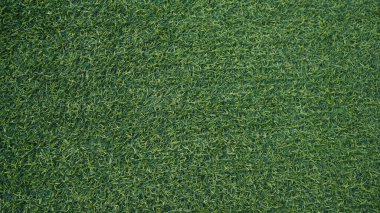 Yeşil çimen arka plan, bahçe manzarası yeşil arka plan yapmak için kullanılan parlak çimen konsepti, spor alanı için çimen, golf sahası yeşil çizgili doku arka plan                                