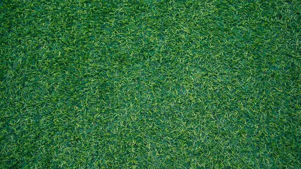 Yeşil çimen arka plan, bahçe manzarası yeşil arka plan yapmak için kullanılan parlak çimen konsepti, spor alanı için çimen, golf sahası yeşil çizgili doku arka plan                                