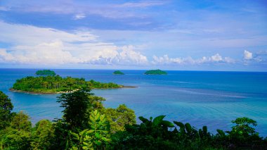 Güzel tropikal sahil kıyısı. Beyaz kum, palmiye ağaçları, turkuaz okyanus ve güneşli yaz gününde mavi gökyüzü. Rahatlatıcı tatil için sakin manzara.                                 