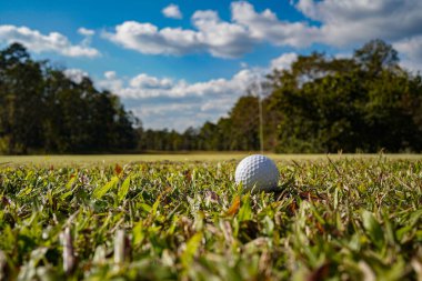 Golf topu yeşil çimlerin üzerinde, golf sahasında, arka planda güneş ışığı var. Yeşil çimlerin üzerindeki deliğin kenarındaki golf topu sıcak bir tonla ve günbatımıyla..                                