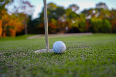 Golf topu deliğin yanında ve bayrak golf sahasında akşam golf sahasında güneş ışığı altında..                               