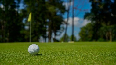 Golf topu yeşil çimlerin üzerinde sabah güneşli güzel bir golf sahasında. İlk kısa devrede golfe hazır..                               