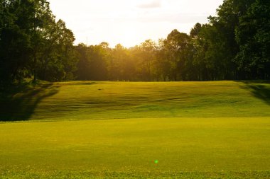 Güneşli bir günde güzel bir golf sahası. Arka plandaki golf sahasında güneş ışığı parlıyor. Kırsaldaki golf sahasında..