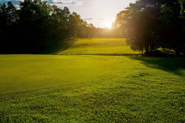 Güneşli bir günde güzel bir golf sahası. Arka plandaki golf sahasında güneş ışığı parlıyor. Kırsaldaki golf sahasında..