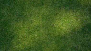 Yeşil çimen arka plan, bahçe manzarası yeşil arka plan yapmak için kullanılan parlak çimen konsepti, spor alanı için çimen, golf sahası yeşil çizgili doku arka plan                                