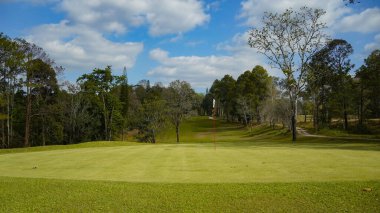 Golf sahasında yeşil çimenler ve ağaçlar. Golf sahasının manzarası ve güzel bir golf sahası. Zengin yeşil çimenlikli golf sahası. Güzel manzara..                                