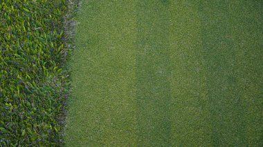 Yeşil çimen arka plan, bahçe manzarası yeşil arka plan yapmak için kullanılan parlak çimen konsepti, spor alanı için çimen, golf sahası yeşil çizgili doku arka plan                                