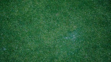 Yeşil çimen arka plan, bahçe manzarası yeşil arka plan yapmak için kullanılan parlak çimen konsepti, spor alanı için çimen, golf sahası yeşil çizgili doku arka plan                                