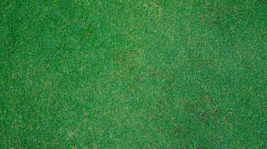 Yeşil çimen arka plan, bahçe manzarası yeşil arka plan yapmak için kullanılan parlak çimen konsepti, spor alanı için çimen, golf sahası yeşil çizgili doku arka plan                                