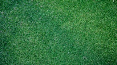 Yeşil çimen arka plan, bahçe manzarası yeşil arka plan yapmak için kullanılan parlak çimen konsepti, spor alanı için çimen, golf sahası yeşil çizgili doku arka plan                                