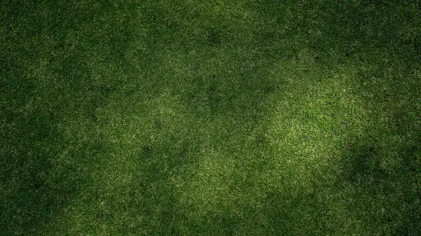 Yeşil çimen arka plan, bahçe manzarası yeşil arka plan yapmak için kullanılan parlak çimen konsepti, spor alanı için çimen, golf sahası yeşil çizgili doku arka plan                                