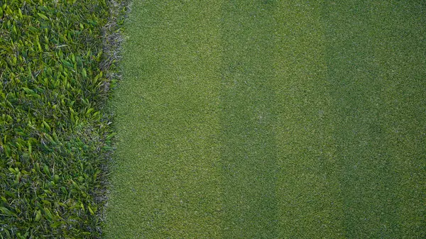 Yeşil çimen arka plan, bahçe manzarası yeşil arka plan yapmak için kullanılan parlak çimen konsepti, spor alanı için çimen, golf sahası yeşil çizgili doku arka plan                                