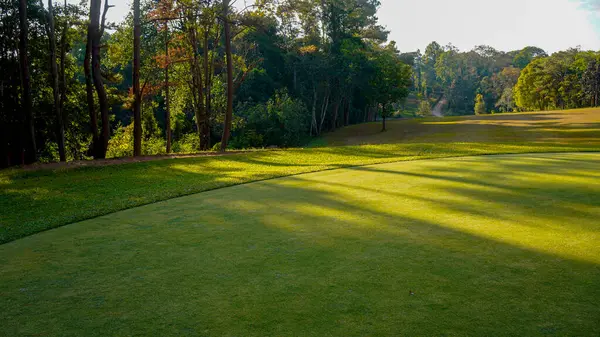 Golf sahasında yeşil çimenler ve ağaçlar. Golf sahasının manzarası ve güzel bir golf sahası. Zengin yeşil çimenlikli golf sahası. Güzel manzara..                                