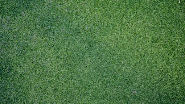 Yeşil çimen arka plan, bahçe manzarası yeşil arka plan yapmak için kullanılan parlak çimen konsepti, spor alanı için çimen, golf sahası yeşil çizgili doku arka plan                                