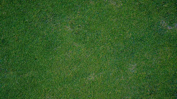 Yeşil çimen arka plan, bahçe manzarası yeşil arka plan yapmak için kullanılan parlak çimen konsepti, spor alanı için çimen, golf sahası yeşil çizgili doku arka plan                                