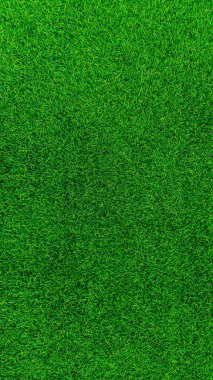 Yeşil çimen arka plan, bahçe manzarası yeşil arka plan yapmak için kullanılan parlak çimen konsepti, spor alanı için çimen, golf sahası yeşil çizgili doku arka plan 