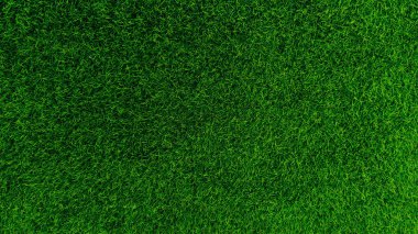 Yeşil çimen arka plan, bahçe manzarası yeşil arka plan yapmak için kullanılan parlak çimen konsepti, spor alanı için çimen, golf sahası yeşil çizgili doku arka plan 