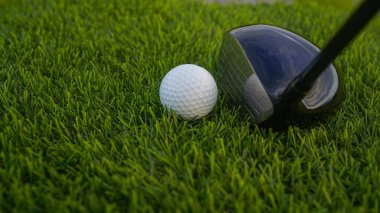 Golf sopaları ve toplar yeşil çimlerde sabah güneşli güzel bir golf sahasında. Yeşil çimlerde golf ekipmanlarını kapatın..                                