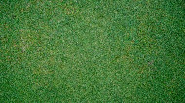 Yeşil çimen arka planı, bahçe manzarası yeşil fon yapmak için kullanılan parlak çimen konsepti, spor alanı için çimen                               