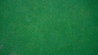 Yeşil çimen arka planı, bahçe manzarası yeşil fon yapmak için kullanılan parlak çimen konsepti, spor alanı için çimen                               