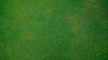 Yeşil çimen arka planı, bahçe manzarası yeşil fon yapmak için kullanılan parlak çimen konsepti, spor alanı için çimen                               