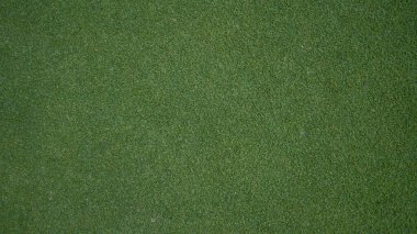 Yeşil çimen arka planı, bahçe manzarası yeşil fon yapmak için kullanılan parlak çimen konsepti, spor alanı için çimen                               