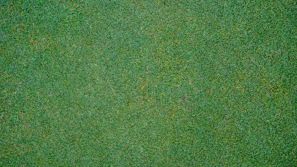 Yeşil çimen arka planı, bahçe manzarası yeşil fon yapmak için kullanılan parlak çimen konsepti, spor alanı için çimen                               