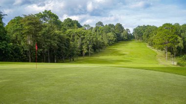 Yeşil çimen arka planı, bahçe manzarası yeşil fon yapmak için kullanılan parlak çimen konsepti, spor alanı için çimen.                               