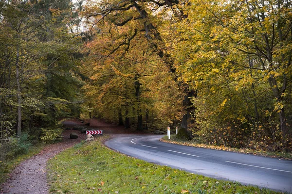 Doprava Zatáčení Silnice Podzimním Lese Pěšinou Boku Odbočit Indikační Značku — Stock fotografie
