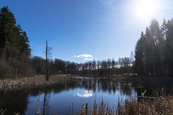 Vista Hermoso Lago Forestal Con Cielo Azul Claro Sol Esquina —  Fotos de Stock