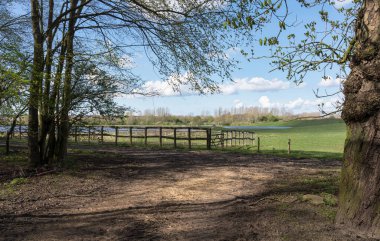 Gökyüzünün altında çitleri ve otlakları olan güzel kırsal alan. İlkbaharın başlarında ağaçlarla dolu çakıllı bir yoldan görünen kayan bulutlar.