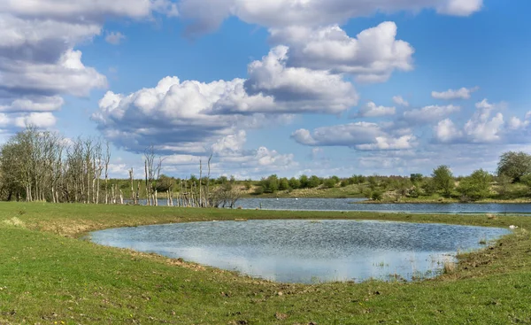 Prairies Avec Deux Lacs Sous Ciel Bleu Avec Couleuvres Dérivantes — Photo