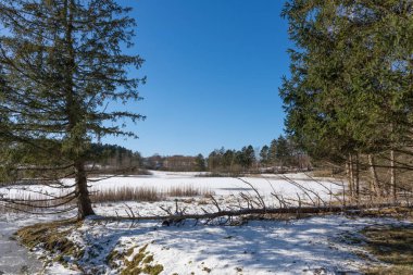 Kısmen karla kaplı donmuş bir göl, açık mavi bir kış gökyüzünün altında, yemyeşil ağaçlar tarafından çerçevelenmiş, mesafeye uzanır. 