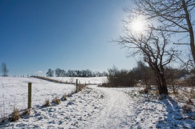 Çıplak ağaçlar ve çitlerle çevrili açık mavi gökyüzünde parlak bir güneşe doğru, karlı bir patika yol açar.