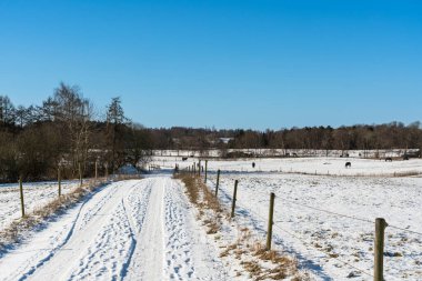 Karlı, güneşli bir patika, açık mavi gökyüzünün altında atların otladığı bir kış otlağına çıkar. 