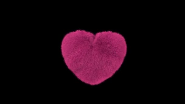 Fuzzy Hairy Pink Heart Shaking Itself — Vídeo de Stock