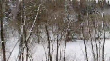 Karla kaplı nehir kıyısında 60 fp hızla seyahat ediyor.