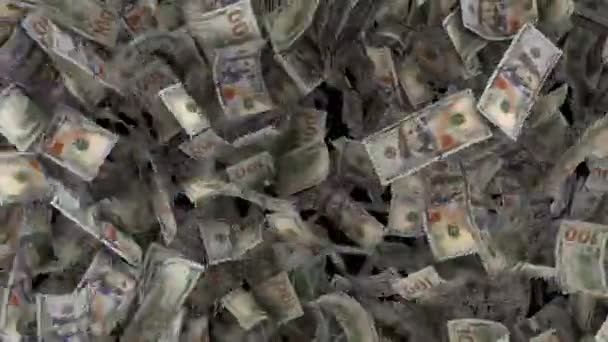 动态美元钞票从横向向纵向过渡 — 图库视频影像