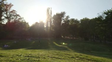 Güneş batan yeşil bahar parkı. Havada toz tanecikleri var..