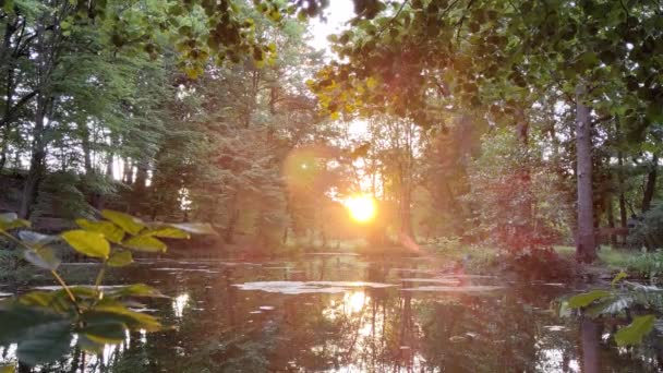 Sunset Golden Hour Ακτίνες Του Ήλιου Στο Πάρκο Λίμνη Και — Αρχείο Βίντεο