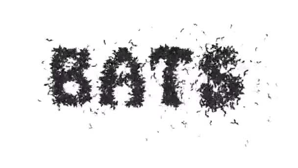 Animovaný Halloween Netopýr Typeface Text Forming Word Netopýři — Stock video