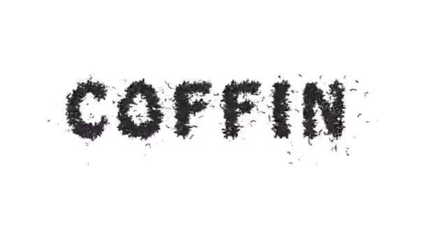 Анимированный Шрифт Хэллоуина Формирование Словосочетания Coffin — стоковое видео