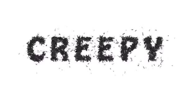 Animovaný Halloween Netopýr Typeface Text Tvorba Slova Děsivé — Stock video