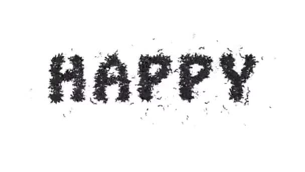 Animação Halloween Bat Typeface Texto Formando Palavra Feliz — Vídeo de Stock
