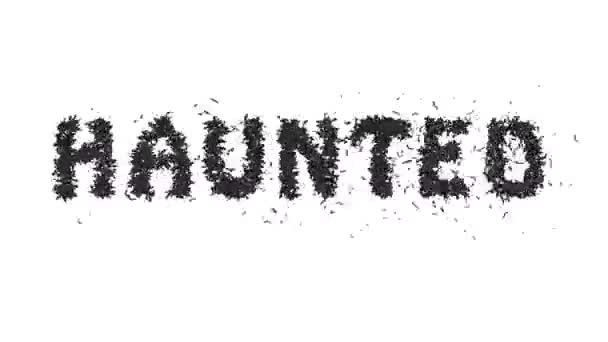 Animated Halloween Bat Typeface Text Forming Word Haunted — Stok Video